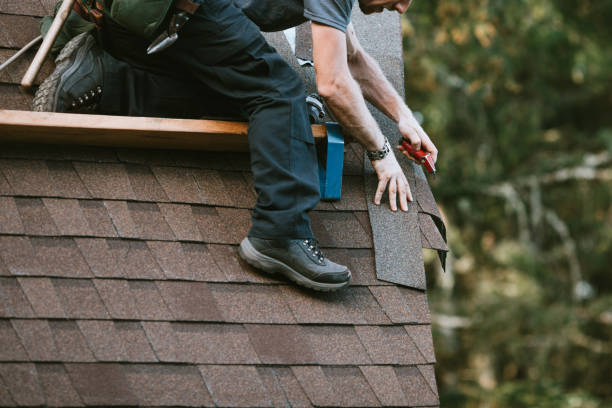 Best Roof Gutter Cleaning  in Waldo, FL